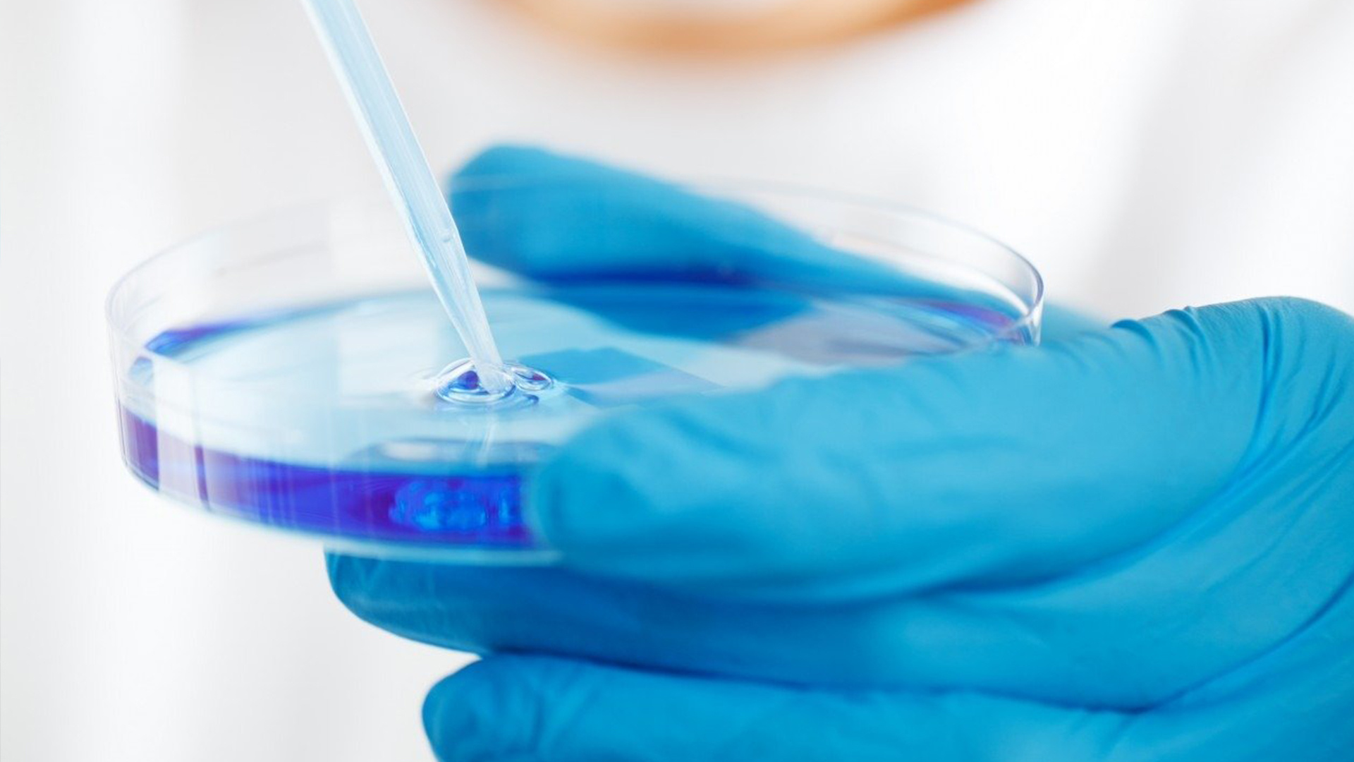 FUSHUN FQZJ CO..LTD FUSHUN FQZJ CO..LTD